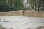 Sanierung des Feldmarksees, Bilder vom 03.05.2013